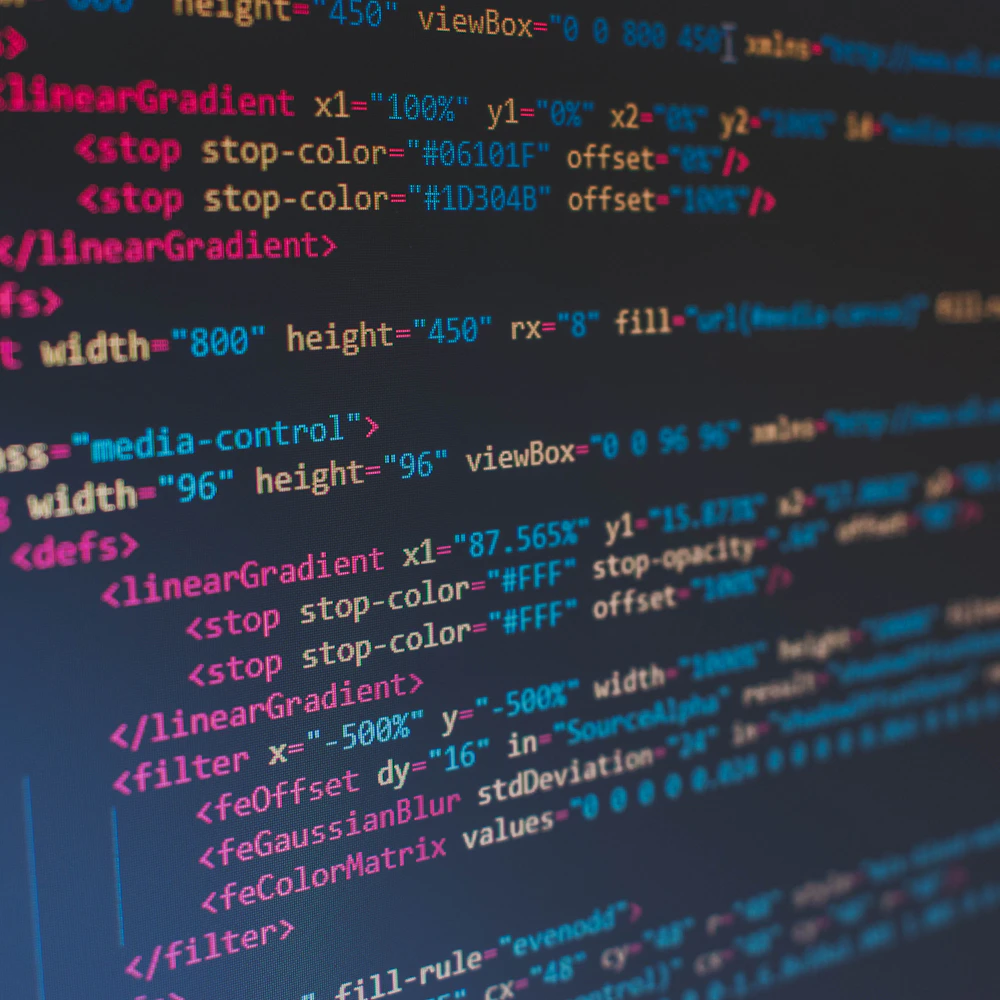 Custom Web Application Development